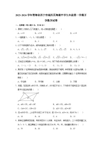 青海省西宁市城西区海湖中学2023-2024学年九年级上学期开学数学试卷