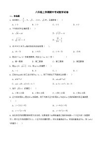 廣東省茂名市2023年八年級上學(xué)期期中考試數(shù)學(xué)試卷（附答案）