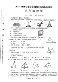 河南省信阳市罗山县2023-2024学年八年级上学期期中数学试题