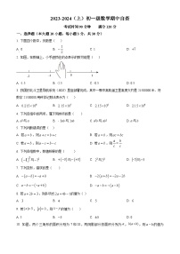 广东省东莞市长安实验中学2023-2024学年七年级上学期期中数学试题