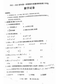 河南省洛阳市伊川县2023-2024学年八年级上学期11月期中数学试题