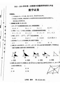 河南省洛阳市伊川县2023-2024学年九年级上学期期中数学试题