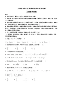 广东省梅州市大埔县2023-2024学年九年级上学期期中数学试题