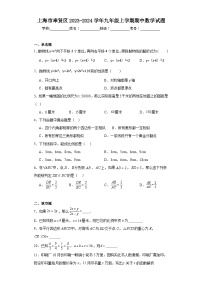 上海市奉贤区2023-2024学年九年级上学期期中数学试题