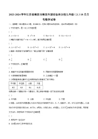 2023-2024学年江苏省南京市南京外国语仙林分校九年级（上）10月月考数学试卷（含解析）