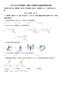 天津市实验中学滨海学校2023-2024学年八年级上学期期中数学试题（含解析）