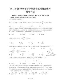 湖南省长沙市中雅培粹学校2023-2024学年八年级上学期第三次月考数学试题