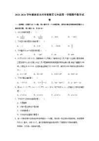 2023-2024学年湖南省永州市零陵区七年级（上）期中数学试卷(含解析)