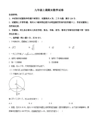 河南省新乡市辉县市2022-2023学年九年级上学期期末数学试题