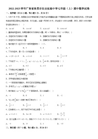 2022-2023学年广东省东莞市长安实验中学七年级上册期中数学试题（含解析）