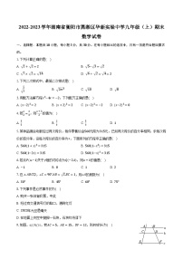 2022-2023学年湖南省衡阳市蒸湘区华新实验中学九年级（上）期末数学试卷（含解析）