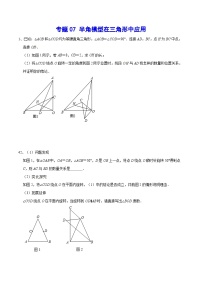 专题07 半角模型在三角形中应用(提升训练)-中考数学重难点专项突破（全国通用）