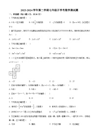 广东省惠州市一中实验学校2023-2024学年七年级下学期开学考试数学试题（解析版+原卷版）