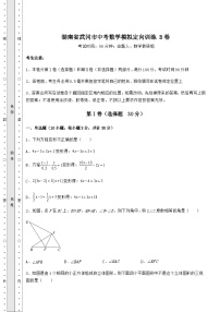 【高频真题解析】湖南省武冈市中考数学模拟定向训练 B卷（含答案及解析）