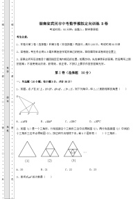 【难点解析】湖南省武冈市中考数学模拟定向训练 B卷（含答案详解）