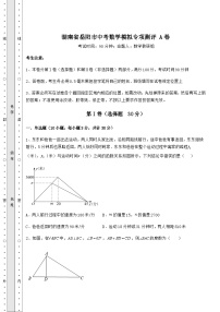湖南省岳阳市中考数学模拟专项测评 A卷（含答案及解析）