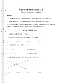 河北省中考数学模拟专项测评 A卷（含答案及详解）