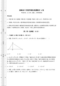 【真题汇总卷】湖南省中考数学模拟真题测评 A卷（含答案详解）
