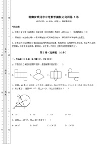 中考专题湖南省武冈市中考数学模拟定向训练 B卷（含答案及解析）
