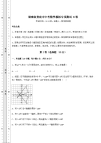 中考数学湖南省娄底市中考数学模拟专项测试 B卷（含详解）