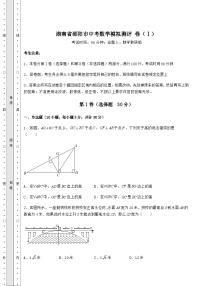 【中考专题】湖南省邵阳市中考数学模拟测评 卷（Ⅰ）（含详解）