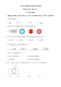 2024年广东省深圳市中考数学模考练习卷（原卷版+解析版）