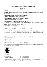 2024年湖南省长沙市部分学校中考模拟数学试题(无答案)