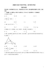 2023年甘肅省武威市中考數(shù)學(xué)真題試卷