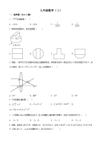 2024年陕西省汉中市实验中学中考三模数学试题（原卷版+解析版）