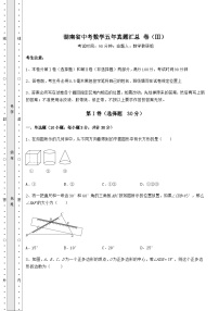 模拟测评湖南省中考数学五年模拟汇总 卷（Ⅲ）（含答案详解）