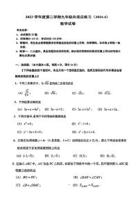 2024上海市普陀区初三二模数学试卷