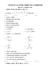 上海市松江区2023-2024学年七年级下学期期中数学试题（解析版+原卷版）