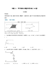 蘇科版八年級(jí)數(shù)學(xué)下冊(cè)舉一反三系列專題5.3平行線四大模型專項(xiàng)訓(xùn)練(40道)(原卷版+解析)