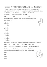 河北省石家莊市高邑縣2024屆九年級(jí)上學(xué)期期末教學(xué)質(zhì)量檢測(cè)數(shù)學(xué)試卷(含解析)
