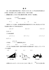 河南省駐馬店市新蔡縣2024屆九年級(jí)下學(xué)期中考二模數(shù)學(xué)試卷(含解析)