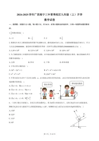 [数学]2024～2025学年广西南宁三中青秀校区九年级(上)开学数学试卷(有答案)