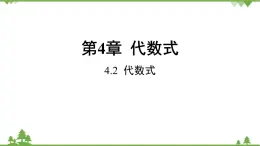 4.2 代數(shù)式 浙教版數(shù)學七年級上冊課件