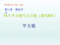 11.1 平方根與立方根（第1課時(shí) 平方根）【課件】