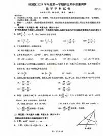 上海市杨浦区2024-2025学年九年级上学期期中考试數學试题