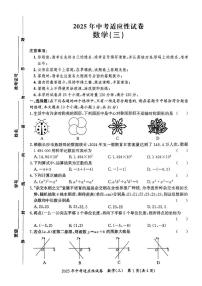 2025年湖南長(zhǎng)沙中考數(shù)學(xué)適應(yīng)性試卷(三)（含答案）