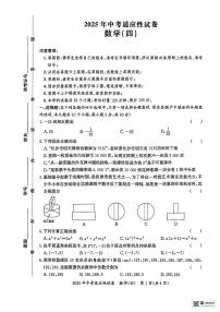 2025長沙中考適應性數(shù)學試卷四
