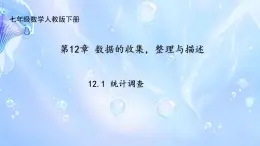 12.1 统计调查 课件 2024-2025学年人教版七年级下册数学