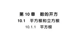 初中數(shù)學(xué)新華東師大版八年級上冊10.1.1 平方根課堂作業(yè)課件（2025秋）