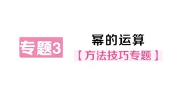 初中數(shù)學(xué)新華東師大版八年級上冊11.1專題3 冪的運算作業(yè)課件（2025秋）