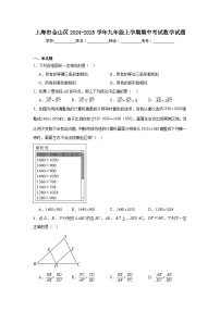 上海市金山区2024-2025学年九年级上学期期中考试數學试题
