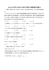 2024-2025学年上海市九年级下学期中考模擬數學试题01-自定义类型