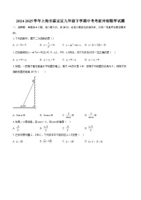 2024-2025学年上海市嘉定区九年级下学期中考考前冲刺數學试题-自定义类型