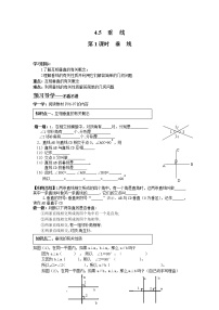 初中数学湘教版七年级下册4.5 垂线第1课时学案设计
