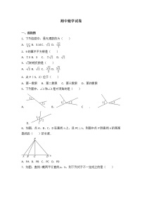 初中数学人教七下期中数学试卷(1)