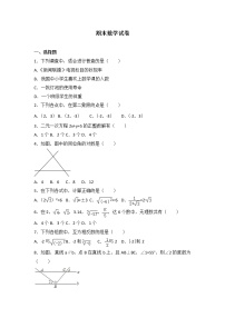 初中数学人教七下期末数学试卷(2)